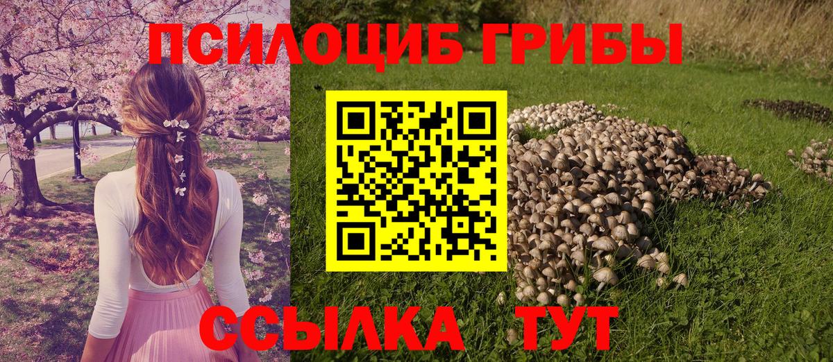 Алатырь  Псилоцибиновые грибы Psilocybine cubensis  Вход с VPN 